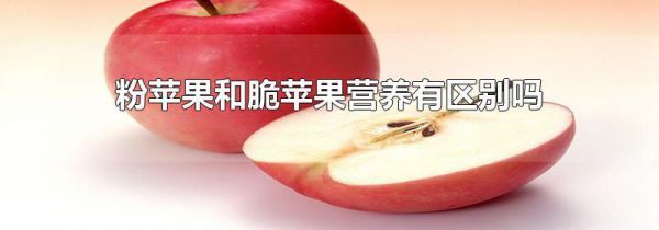 粉苹果和脆苹果营养有区别吗