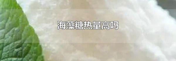 海藻糖热量高吗