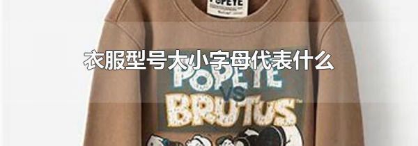 衣服型号大小字母代表什么