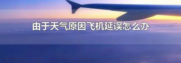 由于天气原因飞机延误怎么办