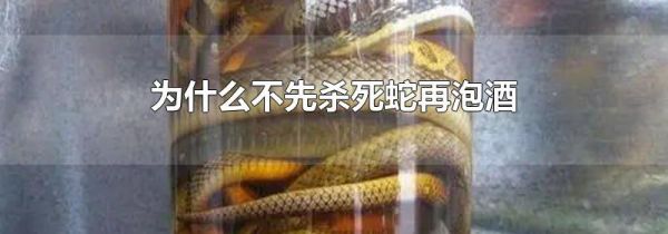 为什么不先杀死蛇再泡酒