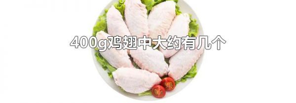 400g鸡翅中大约有几个