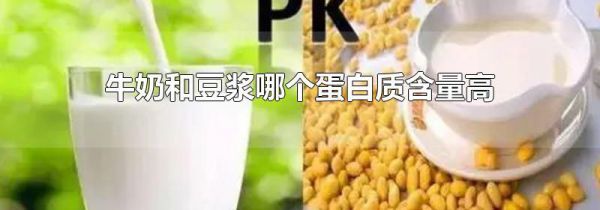 牛奶和豆浆哪个蛋白质含量高