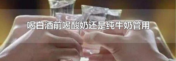 喝白酒前喝酸奶还是纯牛奶管用