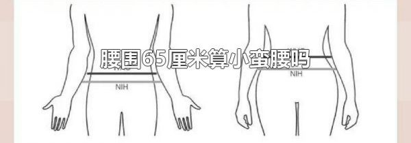 腰围65厘米算小蛮腰吗