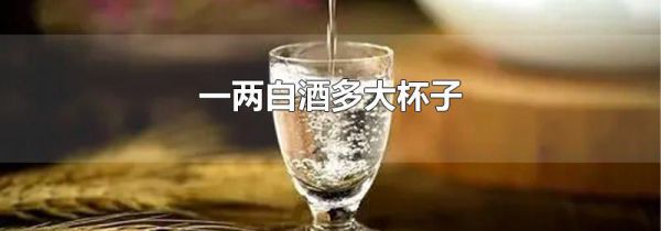一两白酒多大杯子