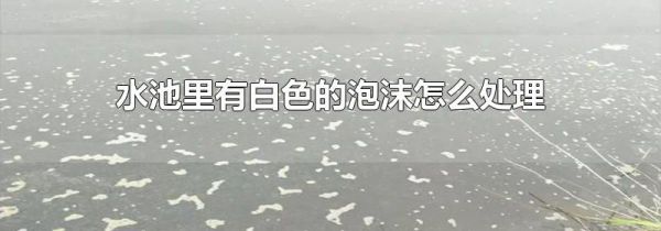 水池里有白色的泡沫怎么处理