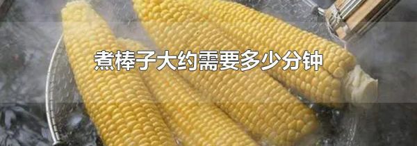 煮棒子大约需要多少分钟