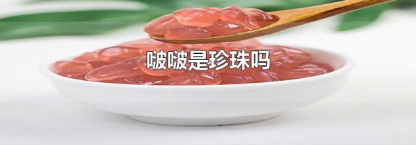 啵啵是珍珠吗
