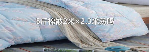 5斤棉被2米×2.3米薄吗