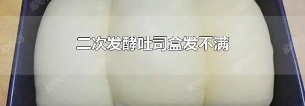 二次发酵吐司盒发不满