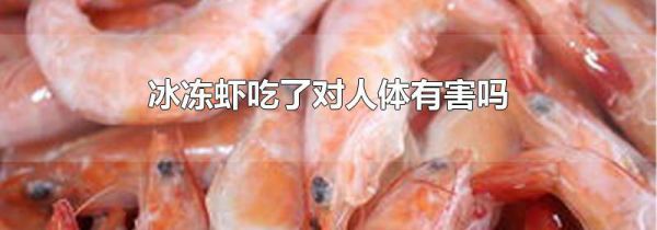 冰冻虾吃了对人体有害吗