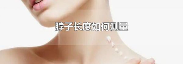 脖子长度如何测量