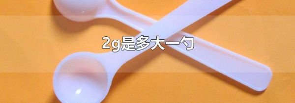 2g是多大一勺