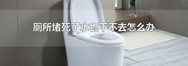 厕所堵死了水也下不去怎么办