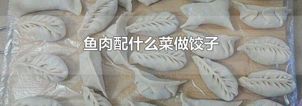 鱼肉配什么菜做饺子