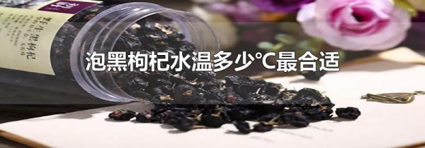 泡黑枸杞水温多少℃最合适