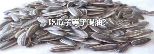 吃瓜子等于喝油?