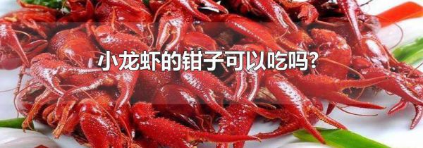 小龙虾的钳子可以吃吗?
