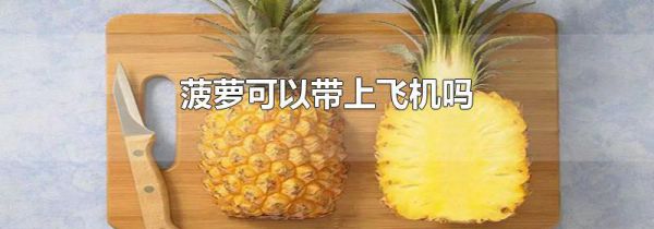 菠萝可以带上飞机吗