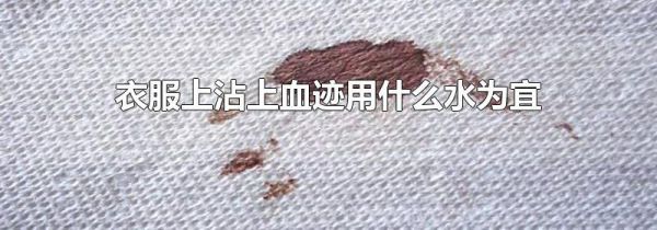 衣服上沾上血迹用什么水为宜