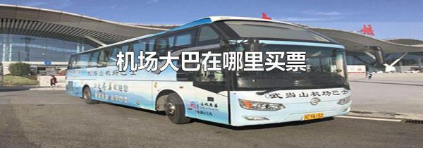 机场大巴在哪里买票