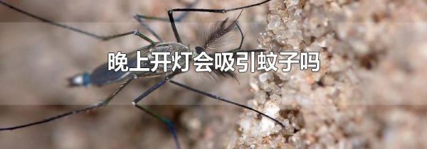晚上开灯会吸引蚊子吗