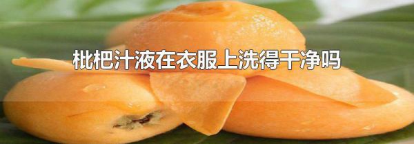 枇杷汁液在衣服上洗得干净吗