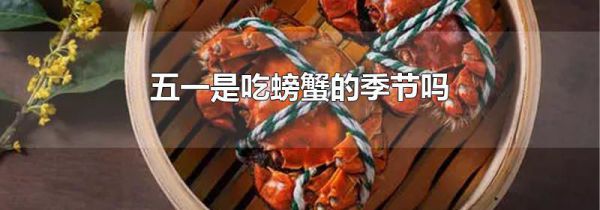 五一是吃螃蟹的季节吗