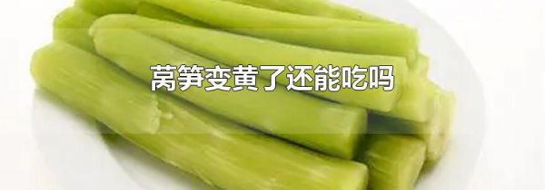 莴笋变黄了还能吃吗