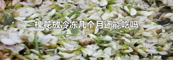 槐花放冷冻几个月还能吃吗