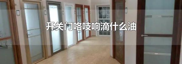 开关门咯吱响滴什么油