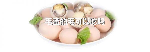 毛蛋的毛可以吃吗