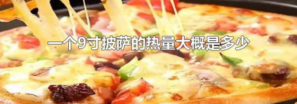 一个9寸披萨的热量大概是多少