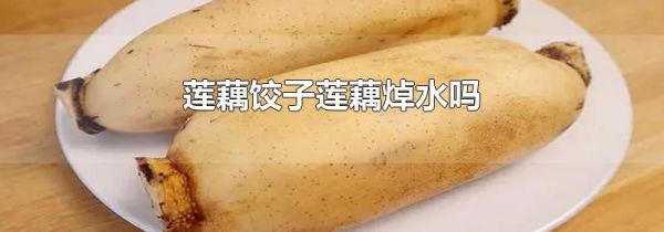 莲藕饺子莲藕焯水吗