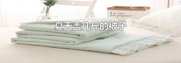 夏天盖几斤的被子