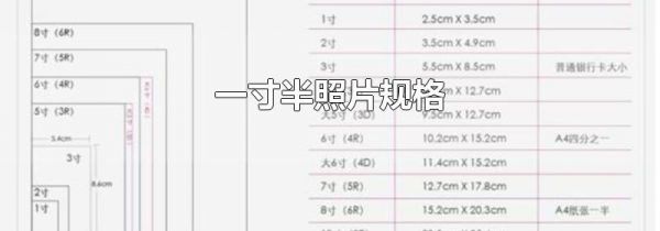 一寸半照片规格