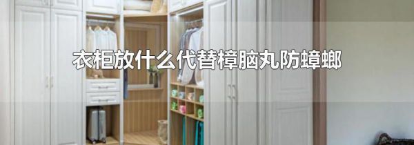 衣柜放什么代替樟脑丸防蟑螂