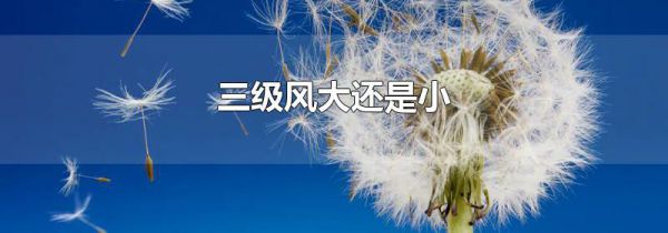 三级风大还是小