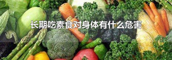 长期吃素食对身体有什么危害