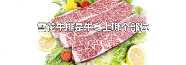 雪花牛排是牛身上哪个部位