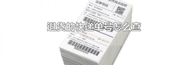 退货的快递单号怎么查