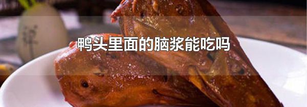 鸭头里面的脑浆能吃吗
