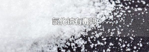 氯化钠有毒吗