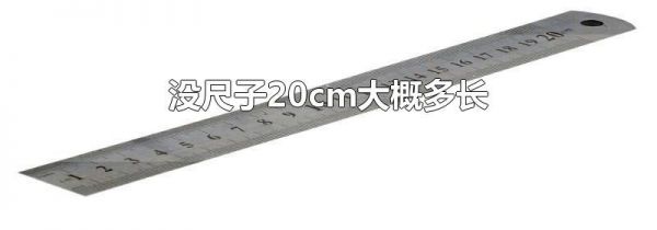 没尺子20cm大概多长