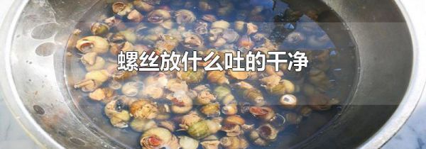 螺丝放什么吐的干净