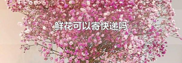 鲜花可以寄快递吗
