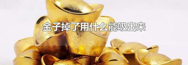 金子掉了用什么能吸出来