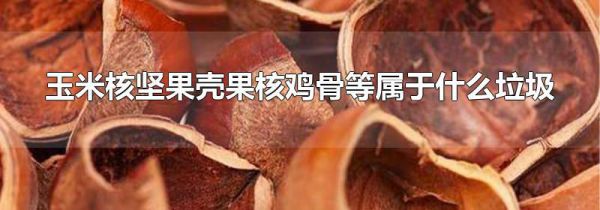玉米核坚果壳果核鸡骨等属于什么垃圾