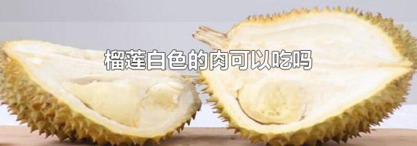 榴莲白色的肉可以吃吗